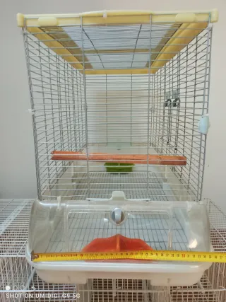 Jaula Visión L 11 Beige/Transparente