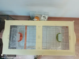 Jaula Visión L 11 Beige/Transparente