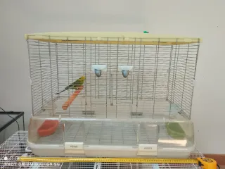 Jaula Visión L 11 Beige/Transparente