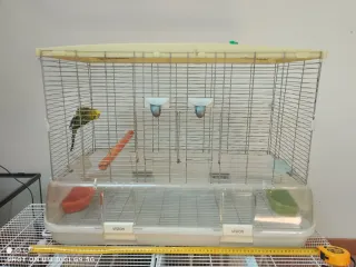 Jaula Visión L 11 Beige/Transparente