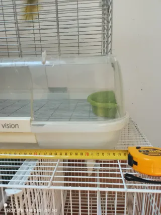 Jaula Visión L 11 Beige/Transparente