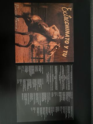 Vinilo Estrechinato y Tú - Poesía Básica