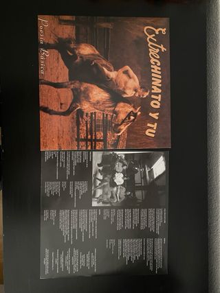 Vinilo Estrechinato y Tú - Poesía Básica