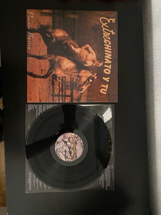Vinilo Estrechinato y Tú - Poesía Básica