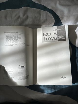 Esto es Troya