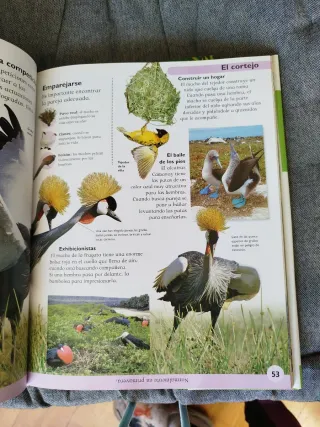 Enciclopedia de los animales