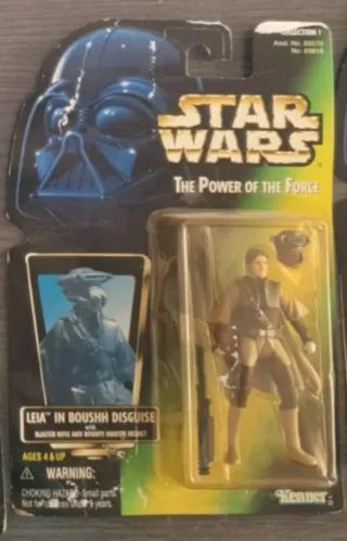 Star Wars Leia en Disfraz Boushh.