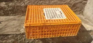 Jaula transporte pollos gallinas conejos