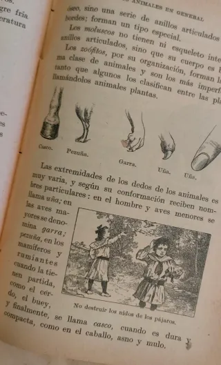 Dos libros antiguos de Ciencias