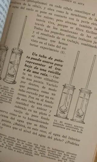 Dos libros antiguos de Ciencias