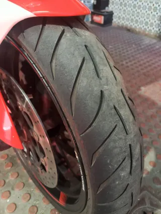 Ducati Monster Única