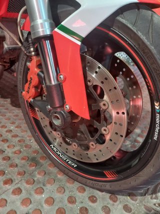Ducati Monster Única