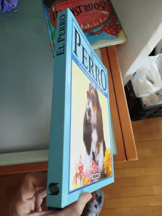 Guía completa del perro