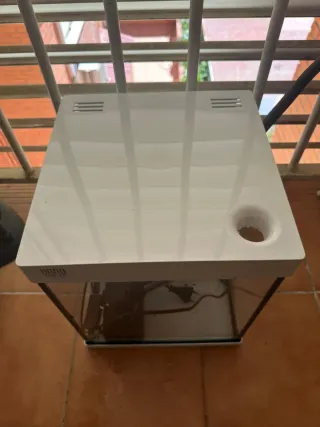 Pecera Acuario 20L