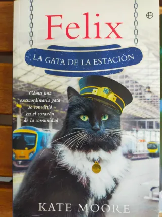 Novelas de aventuras juveniles