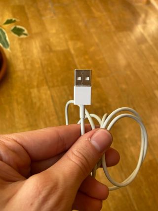 Cable Lightning a USB - Apple original