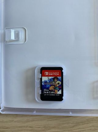 Indivisible Nintendo Switch RPG