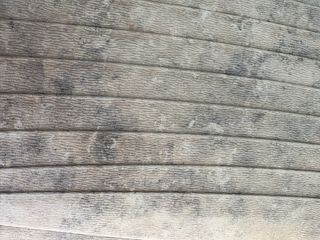 Caseta Perro Mediana Beige/Marrón