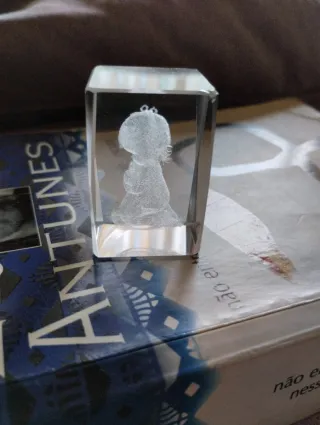 Pisa-papéis 3D Decorativo Elegante