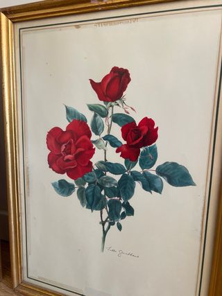 Cuadros de Rosas Rojas con Marco Dorado