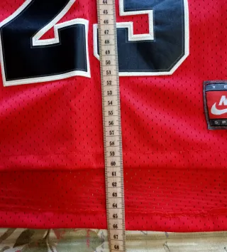 Camiseta Chicago Bulls #23 Jordan Nike