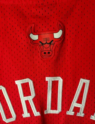 Camiseta Chicago Bulls #23 Jordan Nike