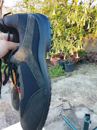 Scarpe antinfortunistiche Engelbert Strauss  52