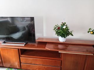 Mueble Salón televisión y baldas