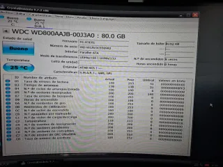 Disco Duro IDE Western Digital 80GB Nuevo