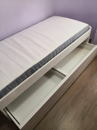 Montador de muebles y manitas
