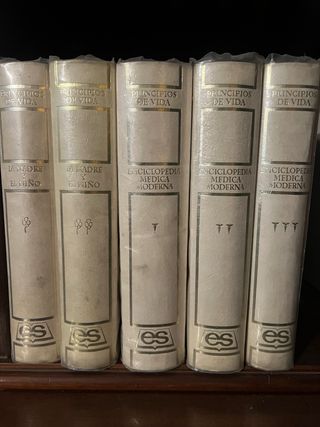 La madre y el niño y principios de la vida  1975