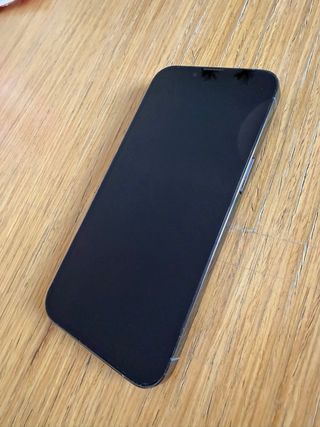 iPhone 13 Pro Azzurro Sierra Usato