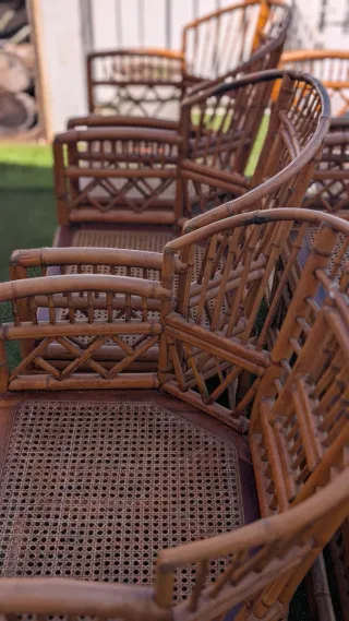 6 Sillas Estilo Brighton Pavilion Bambú