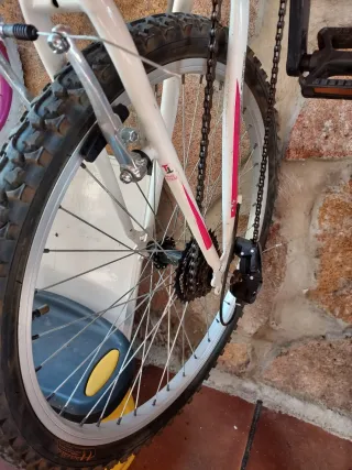 Bicicleta niña Rin 24