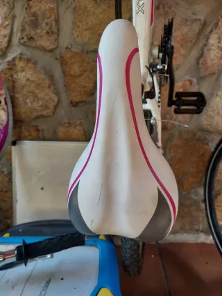 Bicicleta niña Rin 24