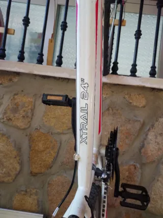 Bicicleta niña Rin 24