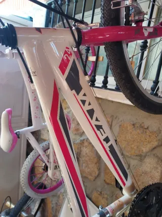 Bicicleta niña Rin 24