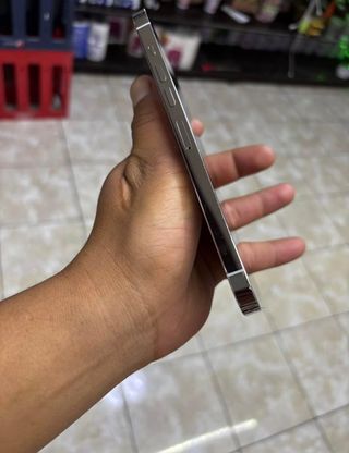 iPhone 13 Pro Max 256GB Plata con blanco