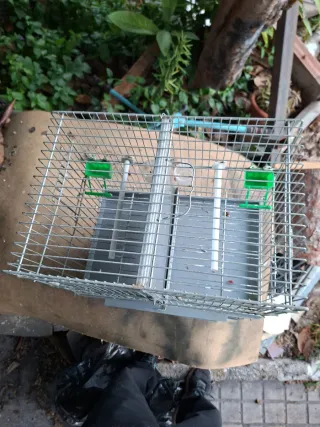 2 Jaulas para pájaros