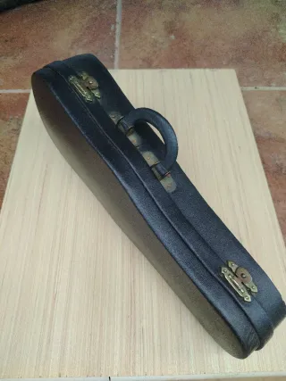 Violín miniatura con estuche