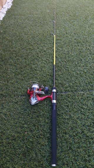 Cañas de pesca spinning casting