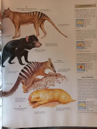 Mamíferos National Geographic