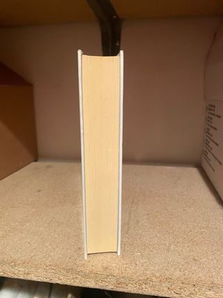 Diari d'una penjada 4. SMR sobre patins