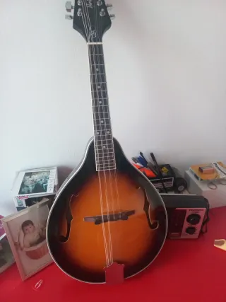 Clases: bajo,guitarra clásica,ukelele y mandolina