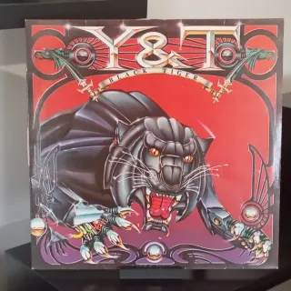 Vinilos Y&T In Rock We Trust y Black Tiger