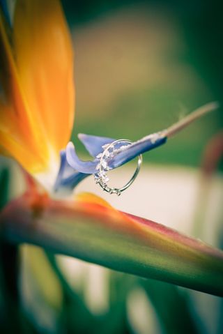 Anillo Plata 925 Ajustable