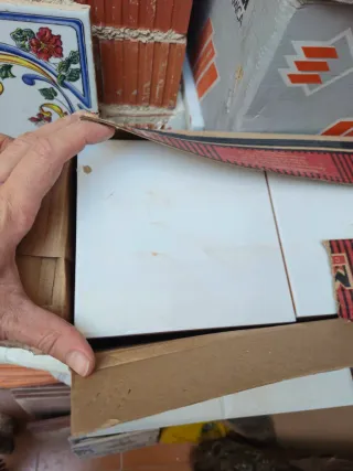 Azulejo blanco