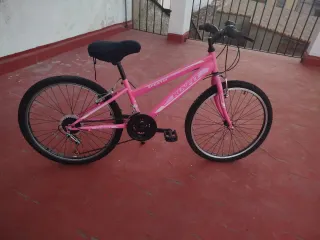 Bicicleta Runfit Sport 24