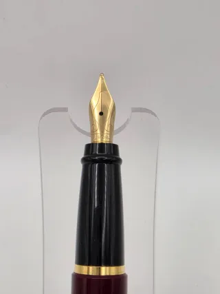 Caneta Aurora Ipsilon Bordeaux GT (M)