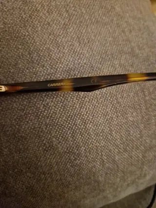 Gafas de sol Carrera Marrón